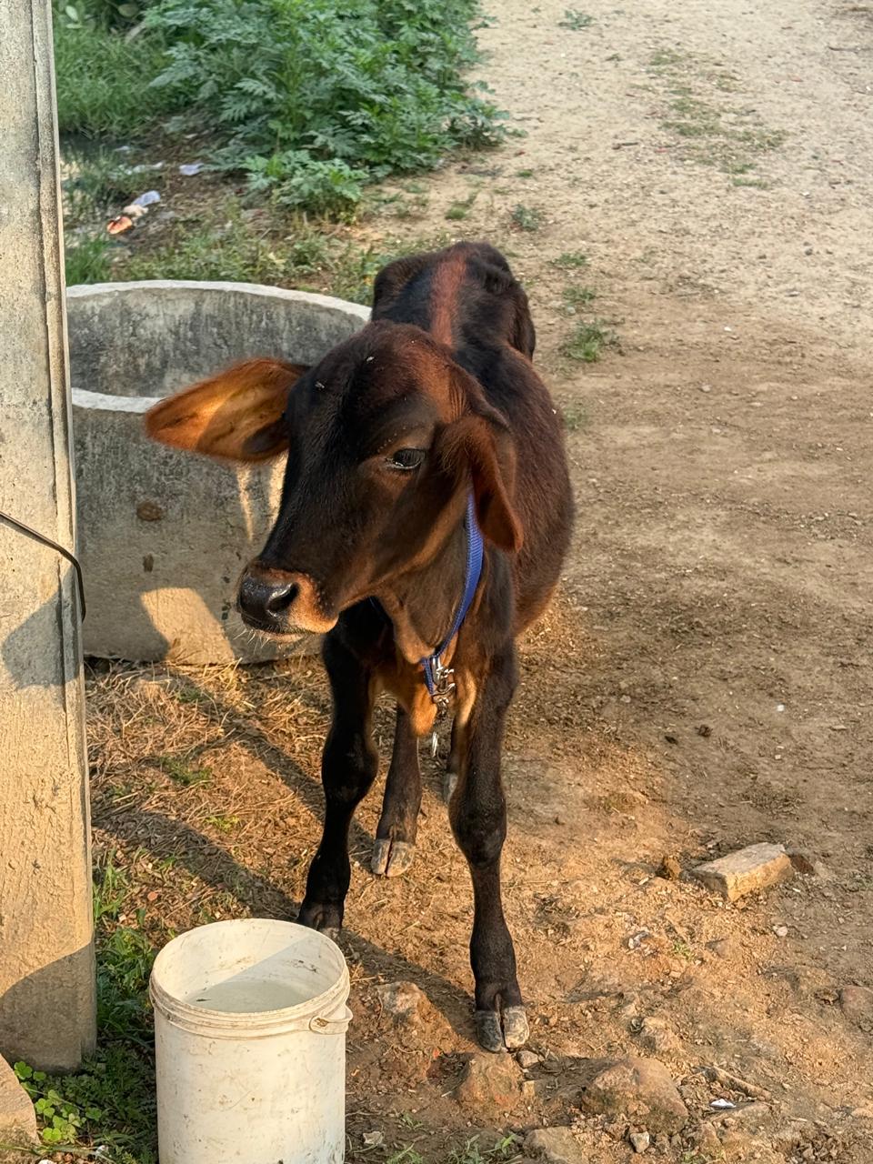 WhatsApp Image 2026-02-17 at 12.04.24