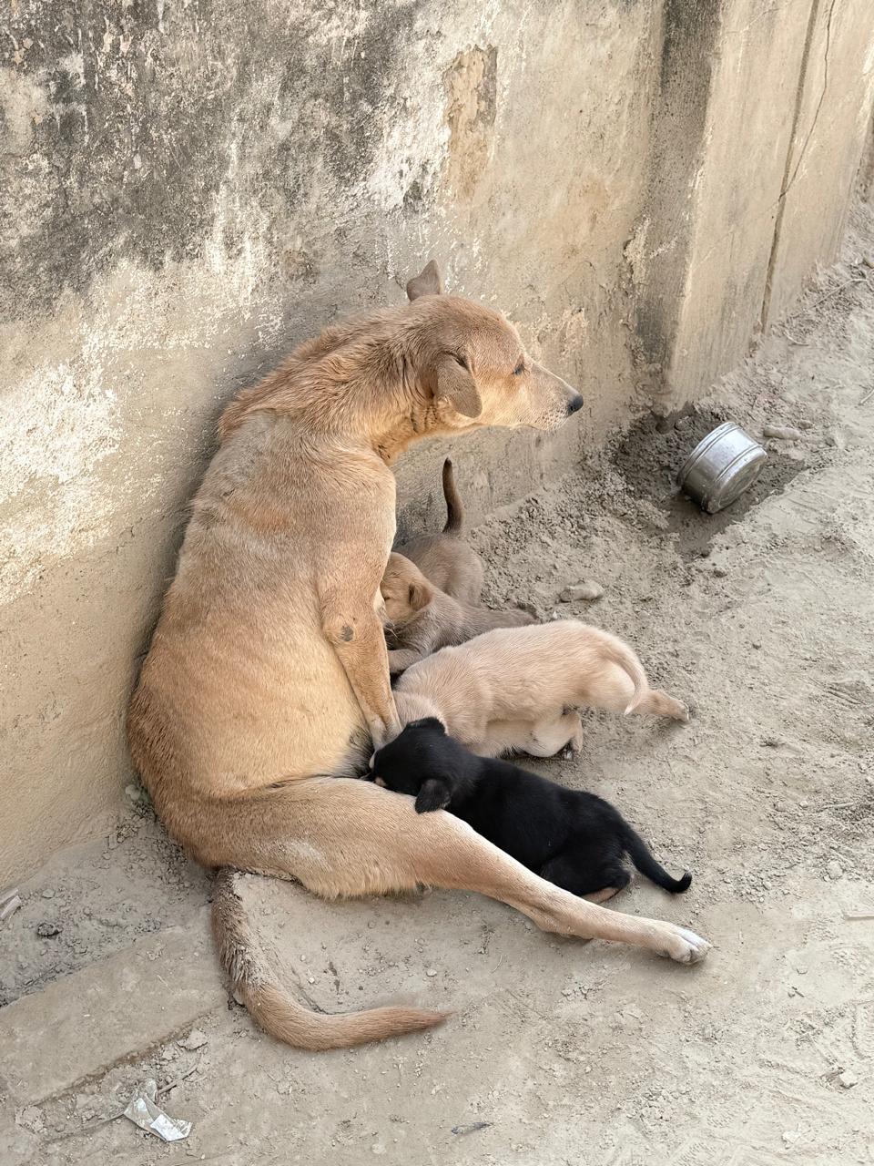 WhatsApp Image 2026-02-17 at 12.07.55